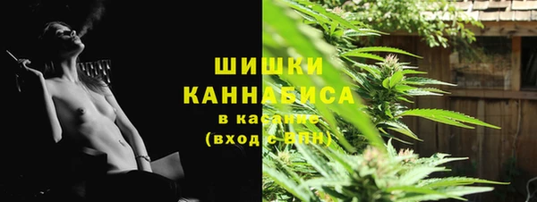 тгк Протвино
